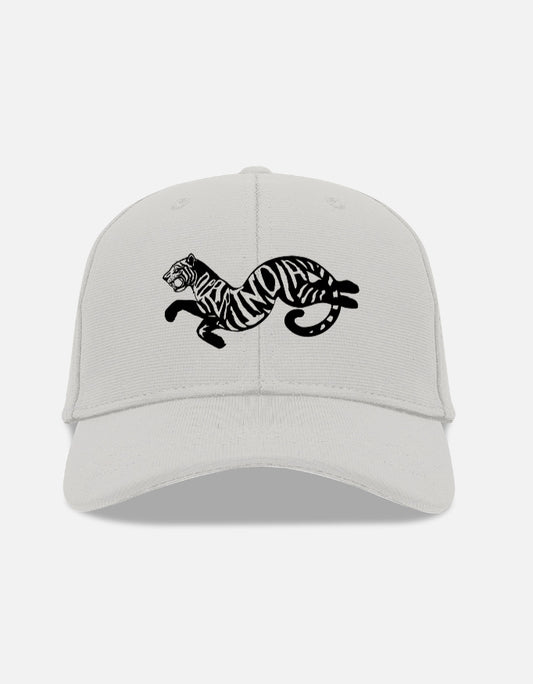 Grey 6-panel baseball cap with the Dear India tiger embroidered on the front panel